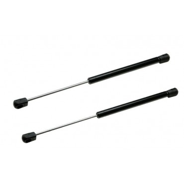 Vérin de coffre Hayon x2...