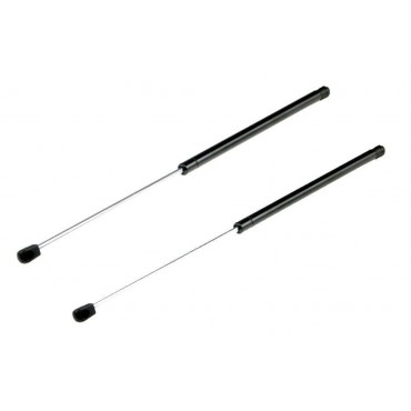 Vérin de coffre Hayon x2...