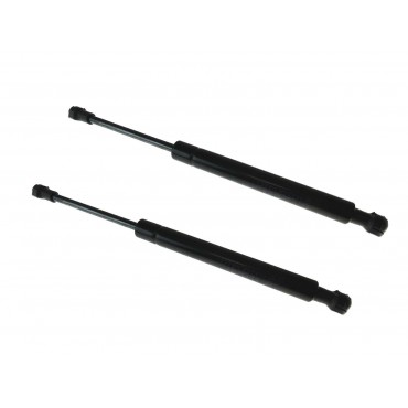 Vérin Hayon Coffre X2 Fiat...