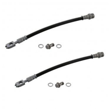 Flexible de Frein arrière...