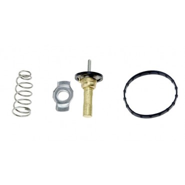 THERMOSTAT D'EAU SMART...