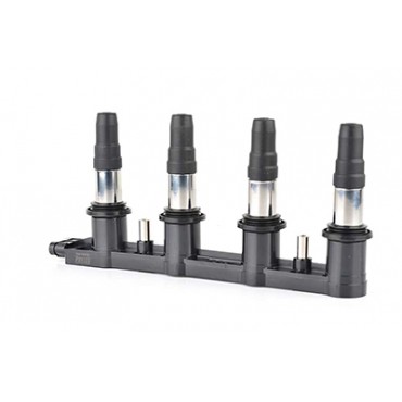 Bobine d'Allumage Pour...