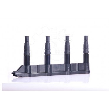 Bobine d'Allumage Pour...