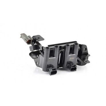 Bobine d'Allumage Pour...