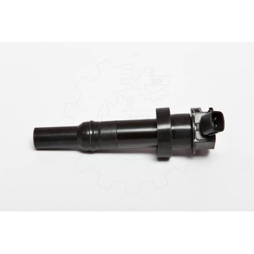 Bobine d'Allumage Pour...