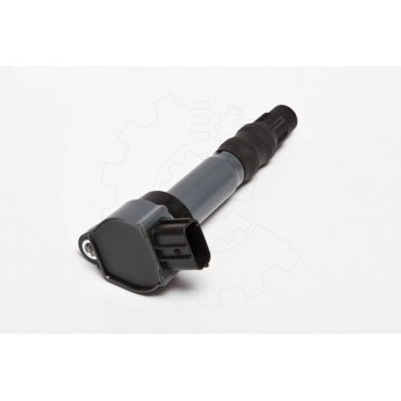 Bobine d'Allumage Pour...