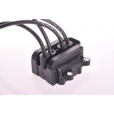 Bobine d'Allumage Pour...