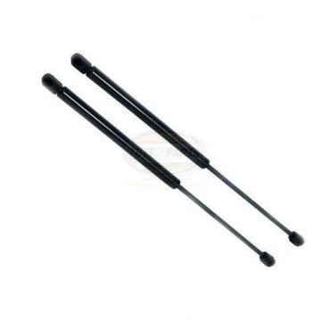 Vérin de Capot Moteur x2...