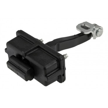 Charnière de Porte Arrière...