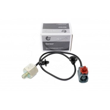 Capteur de Cognement Pour...