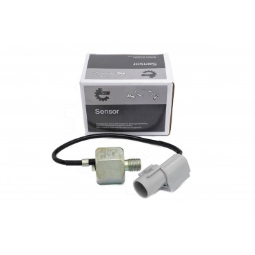 Capteur de Cognement Pour...