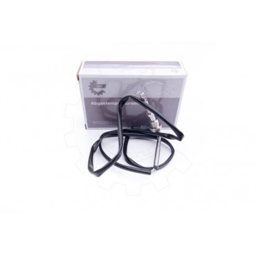 Capteur Température de Gaz...