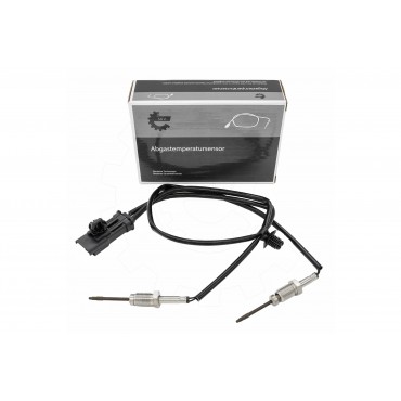 Capteur Température de Gaz...