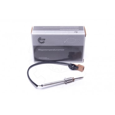 Capteur Température de Gaz...