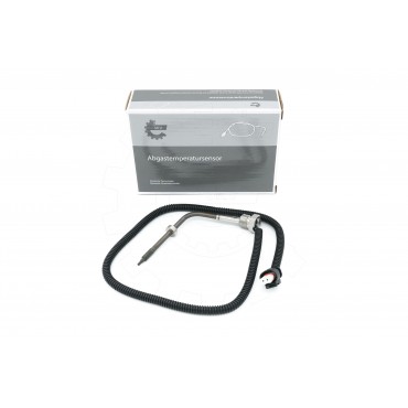 Capteur Température de Gaz...