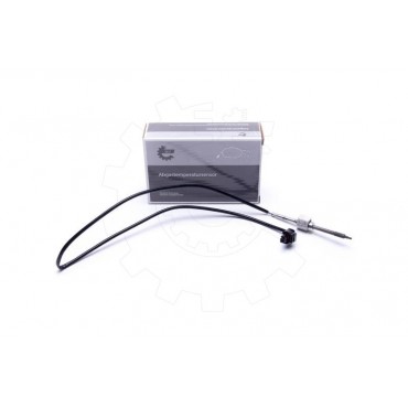 Capteur Température de Gaz...