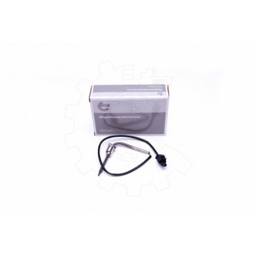 Capteur Température de Gaz...