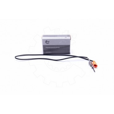 Capteur Température de Gaz...