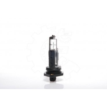 Sonde Débitmètre de masse...