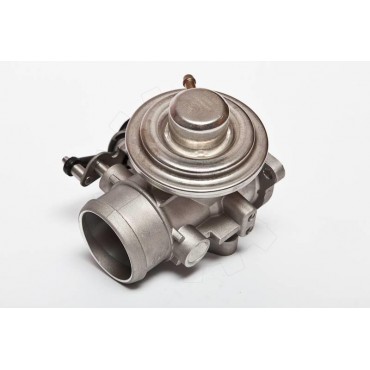 Vanne EGR Pour VW Passat...