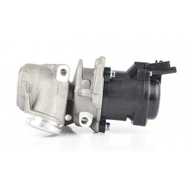 Vanne EGR Pour Peugeot Fiat...