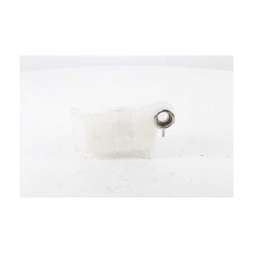 Vase d'Expansion Liquide de...