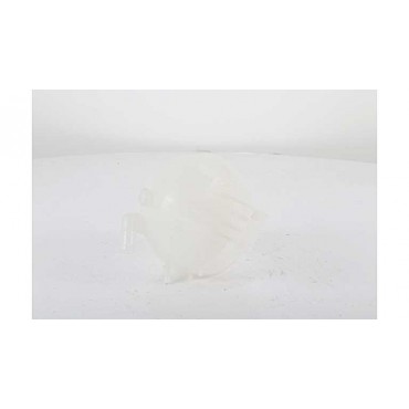 Vase d'Expansion Liquide de...