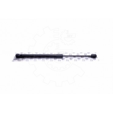 Vérin Hayon de Coffre...