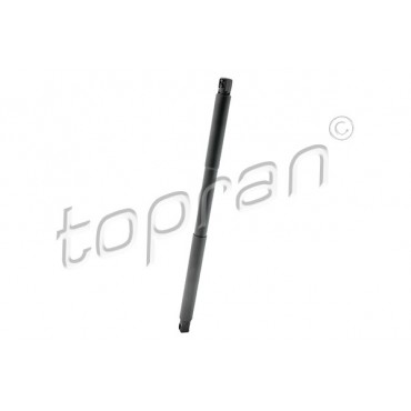 Vérin Hayon de Coffre...