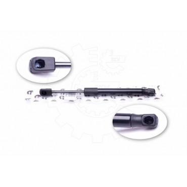 Vérin Hayon de Coffre...