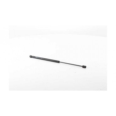 Vérin Hayon de Coffre Pour...