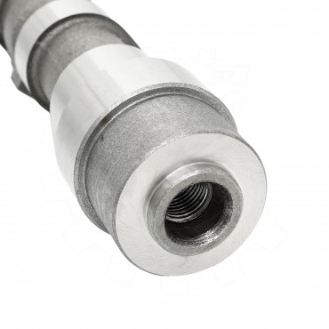 Arbre à came Pour Opel Fiat Ford Alfa Romeo 5636127 55206897 1724837 BS516250AA