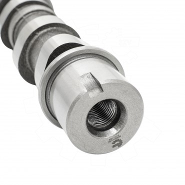 Arbre à came Pour Peugeot Opel Agila Astra H Ford Alfa Romeo 0801GJ 5636060