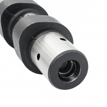 Arbre à came Pour Peugeot Ford Citroën Mazda 0801EQ 1313804 0801Z9 Y60112421