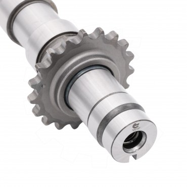 Arbre à came Pour Peugeot Ford Citroën DS 9804424280 1871343 D7SQ6A273BA