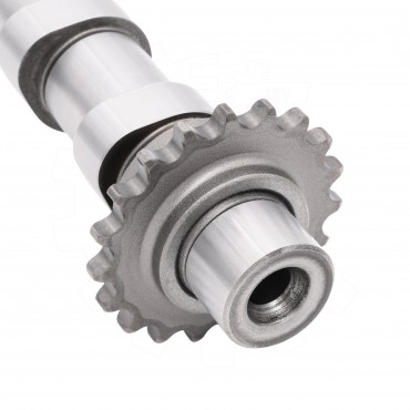 Arbre à came Pour Peugeot Ford Citroën DS 9804424180 1871342 D7SQ6A270BA