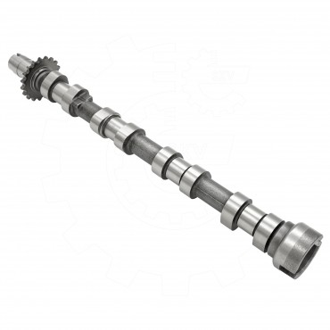 Arbre à came Pour Peugeot 407 Fiat Citroën C-Crosser C5 C6 C8 Lancia 0801FZ