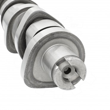 Arbre à came Pour VW Polo Seat Cordoba Ibiza III IV Skoda Fabia II 1.4 TDI