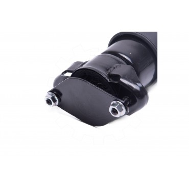 Amortisseur Pneumatique Suspension Arrière Pour Mercedes-Benz 2513203031