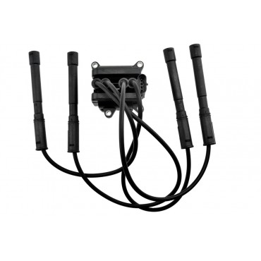 Bobine d'Allumage Pour Renault Dacia Nissan 8200360911 2244800QAF 8200702693