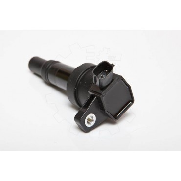 Bobine d'Allumage Pour Hyundai i10 Kia Picanto 2730104000 2730104100