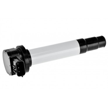 Bobine d'Allumage Pour Nissan Almera II Tino Primera 224484M500 224484M50A