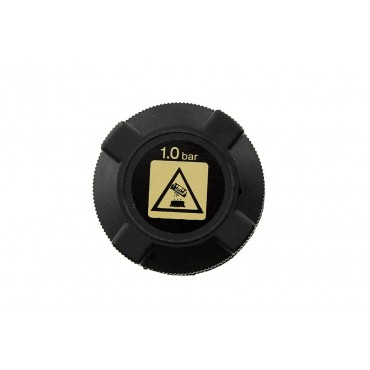 Bouchon de Radiateur Refroidissement Pour Fiat Alfa Romeo Lancia 46402982