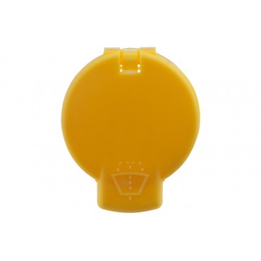 Cache Vase de Lave Glace Pour Renault Captur Clio IV 289135972R