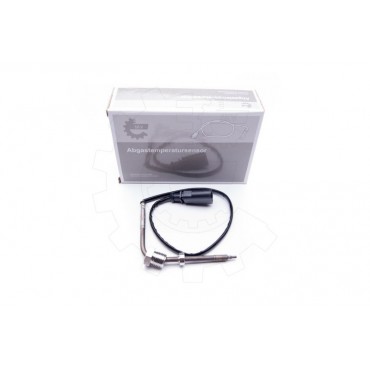Capteur Température de Gaz d'échappement Pour VW Audi A6 Seat Exeo 1.6 TDI