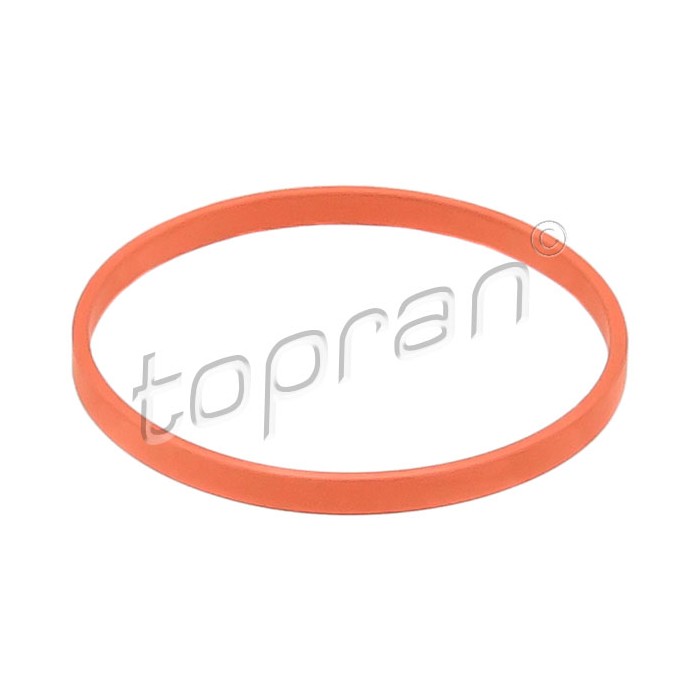 Joint d'étanchéité Collecteur d'Admission Pour VW Audi Seat Skoda 03L131547B