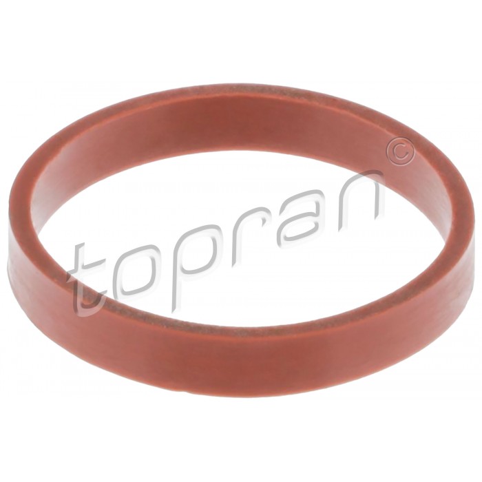 Joint d'étanchéité Collecteur d'Admission Pour VW Audi Seat Skoda 03F129717