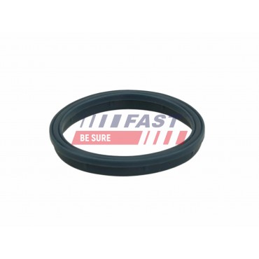 Joint d'étanchéité Collecteur d'Admission Pour Ford LDV LTI 1316713