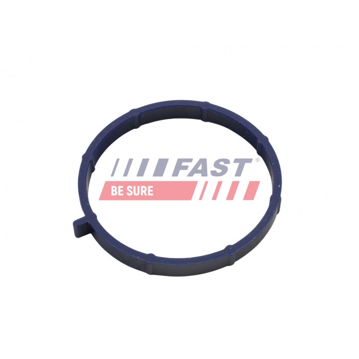 Joint d'étanchéité Collecteur d'Admission Pour Ford Transit 1749297