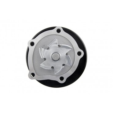 Pompe à Eau Pour Chevrolet Aveo/Kalos Spark 25188341 25191167 96416294